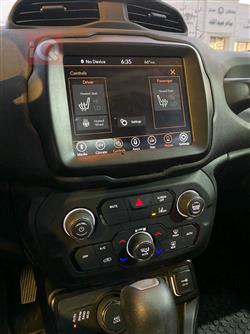 جيب رينيجيد